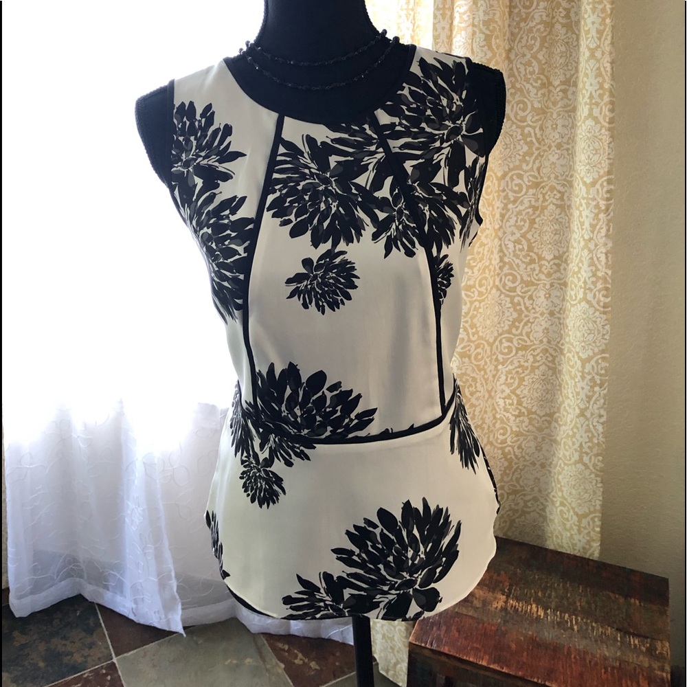 Ann Taylor blouse